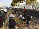 淄博市林业局组织开展清扫垃圾志愿服务活动 - 林业厅