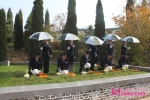 花瓣簇拥、魂归自然 济南慈航园举行第二届公益生态葬活动 - 中国山东网