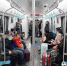青岛地铁3号线半月载客215万 市民习惯地铁出行 - 东营网
