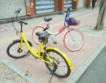 济南摩拜单车每天被骑近万次 “红黄绿”集结大战街头 - 济南新闻网