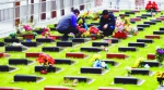 双休日南京迎今年首个扫墓高峰 超35万市民外出扫墓 - 山东华网