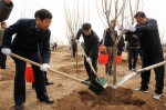 潍坊市领导参加义务植树 推进国家森林城市建设 - 林业厅