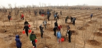 潍坊市领导参加义务植树 推进国家森林城市建设 - 林业厅