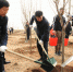 潍坊市市长李宽端：广泛动员精心组织 迅速掀起造林绿化热潮 - 林业厅
