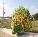 广西南宁游客用数十吨香蕉狂欢 - 山东华网