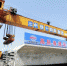 山东建设里程最长！鲁南高铁创造高铁速度 - 东营网