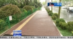 青岛首条海绵化改造道路完工 降雨过后无积水 - 东营网