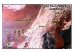 国家林业局发布《沙尘暴监测与灾情评估简报》 - 中国山东网