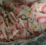 青岛:5岁孩子撕钱玩 把5万现金撕成碎片(图) - 水母网