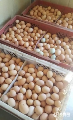 济南蛋价持续下滑创近年最低 一斤两块比西红柿便宜 - 东营网