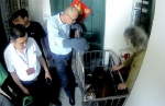 青岛一老太收养的20余条流浪犬住进舒适新家 - 东营网