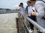 【香江二十年】香港七八成用水來自東深供水工程 - 中国山东网