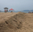 青岛第一海水浴场14年来首次换新沙 沙滩将更松软 - 东营网