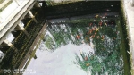 趵突泉连续喷涌14周年几无悬念 地下水位重上28米 - 济南新闻网