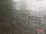 资料图：北京降雨。 中新网记者 富宇 摄 - 山东华网