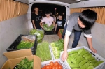 12个孩子暑假组团体验卖菜 12天赚了1500多元 - 中国山东网