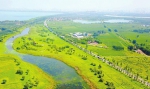 黄河鹊山龙湖将成为市区湿地 生态之美让人赏心悦目 - 政府