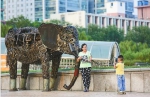 钢雕装扮 泉城广场更显艺术范儿 - 济南新闻网