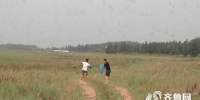 潍坊19架无人机“围剿”蝗虫，村民：一定要把它灭了 - 东营网