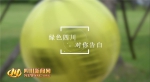 绿色四川版《告白气球》亮相 篮球冠军花式热秀低碳生活 - 中国山东网