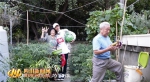 绿色四川版《告白气球》亮相 篮球冠军花式热秀低碳生活 - 中国山东网