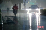 北京市民在雨中前行。 中新社记者 刘关关 摄 - 山东华网