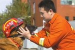 训导员带"英雄"搜救犬退役：我的兄弟已一把年纪 - 中国山东网