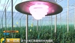 央视《第一时间》关注寿光：日成交1万吨 智能化打造蔬菜工厂 - 中国山东网