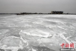 受持续低温天气影响 渤海莱州湾冰封码头(图) - 半岛网