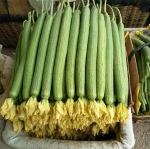 春节临近蔬菜价格持续上扬 油菜土豆大幅涨价 - 半岛网