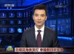 淄博花灯"爆红" 登上央视和山东《新闻联播》 - 半岛网