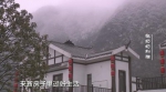 【微视频】幸福观察：移民新村的张奶奶和猫 - 中国山东网