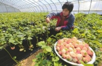 济南市启动新时期农村人才培养计划 为乡村振兴提供一支“三农”工作队伍 - 济南新闻网