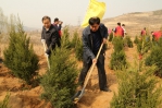 省政府办公厅志愿服务队参加义务植树活动 - 林业厅