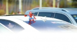 车顶放玩偶属于交通违法 可处500元以下罚款 - 半岛网