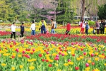 踏青赏花寻春色 芳菲醉美植物园 - 济南新闻网