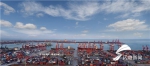 刷新56项记录!日照港一季度货物吞吐量9509万吨 - 半岛网