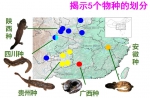 科学家发现多个大鲵隐存种 破“中国大鲵单物种”论 - 中国山东网