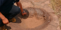 山东又发现一处侏罗纪公园 恐龙足迹化石群现郯城 - 半岛网