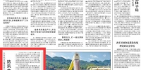 人民日报聚焦山东抗击"温比亚"台风：防汛救灾 勠力同心 - 半岛网