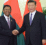 （中非合作论坛）习近平会见马达加斯加总统埃里 - 中国山东网
