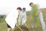 中日民间绿化基金山东造林项目结出丰硕成果 - 林业厅