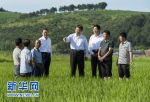 写在首个“中国农民丰收节”：喜看稻菽千重浪 亿万农民庆丰收 - 中国山东网
