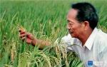 “杂交水稻之父”袁隆平：稻田里的拓荒者 - 中国山东网