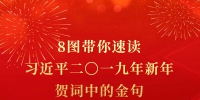 8图带你速读习近平二〇一九年新年贺词中的金句 - 中国山东网