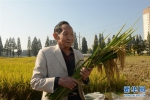 （爱国情 奋斗者·图文互动）（3）一颗稻谷里的爱国情怀——记“杂交水稻之父”袁隆平 - 中国山东网