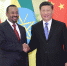 习近平会见埃塞俄比亚总理 - 中国山东网