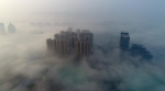 大片来了！济南西部新城出现平流雾美景 - 济南新闻网