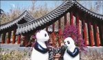 四川园：熊猫家园 水润天府（北京世园会风采） - 中国山东网