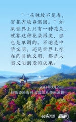 习近平文明交流“话中画” - 中国山东网